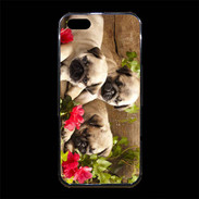 Coque iPhone 5/5S Premium Trio de chiots Carlin