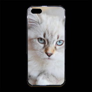 Coque iPhone 5/5S Premium Chaton aux yeux bleus