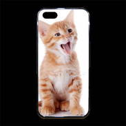 Coque iPhone 5/5S Premium Adorable chaton 6