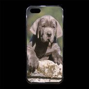 Coque iPhone 5/5S Premium Chiot dogue Allemand