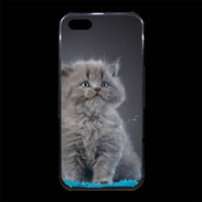Coque iPhone 5/5S Premium Chaton sur tapis bleu
