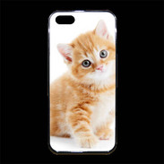 Coque iPhone 5/5S Premium Chaton marron et blanc