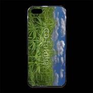 Coque iPhone 5/5S Premium Champs de cannabis