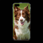 Coque iPhone 5/5S Premium Chien Colley marron et blanc