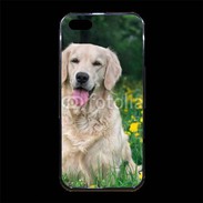 Coque iPhone 5/5S Premium Portrait de Chien Golden 5