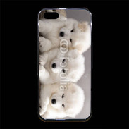 Coque iPhone 5/5S Premium Chiot japonais blanc