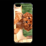 Coque iPhone 5/5S Premium Chiot King Charles 2
