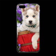 Coque iPhone 5/5S Premium Portrait chiot Husky de Sibérie 1