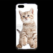 Coque iPhone 5/5S Premium Adorable chaton 7