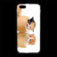 Coque iPhone 5/5S Premium Chaton dans des coquilles d'oeuf