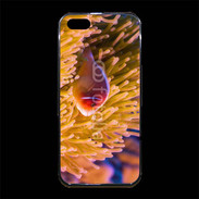 Coque iPhone 5/5S Premium Poisson tropical 15