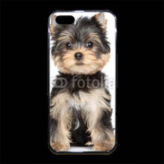 Coque iPhone 5/5S Premium Chiot Yorkshire terrier 25