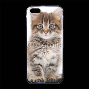 Coque iPhone 5/5S Premium Portrait d'un chaton 75