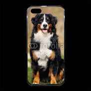 Coque iPhone 5/5S Premium Bernois des montagne 100
