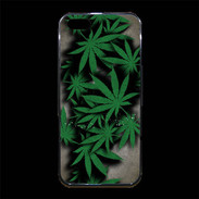 Coque iPhone 5/5S Premium Feuilles de cannabis 50