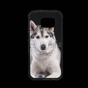Coque Samsung S7 Premium Chien Husky de Sibérie