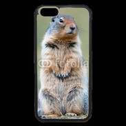 Coque iPhone 6 Premium Marmotte 2
