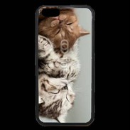 Coque iPhone 6 Premium Sieste de chatons