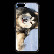 Coque iPhone 6 Premium Chien d'Alaska