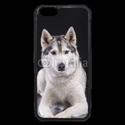 Coque iPhone 6 Premium Chien Husky de Sibérie