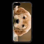 Coque iPhone 6 Premium Chiot labrador golden 2