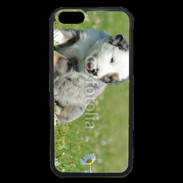 Coque iPhone 6 Premium Chiot blanc et gris 1