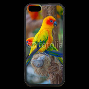 Coque iPhone 6 Premium Aratinga Solstitialis