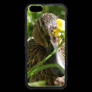 Coque iPhone 6 Premium Canard sauvage PB 1