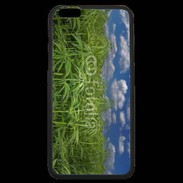 Coque iPhone 6 Plus Premium Champs de cannabis