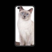 Coque  Iphone 8 PREMIUM Chat siamois 25