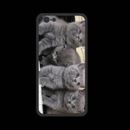 Coque  Iphone 8 PREMIUM Chatons musiciens