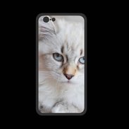 Coque  Iphone 8 PREMIUM Chaton aux yeux bleus