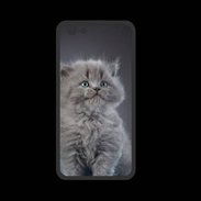 Coque  Iphone 8 PREMIUM Chaton sur tapis bleu
