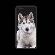 Coque  Iphone 8 PREMIUM Chien Husky de Sibérie
