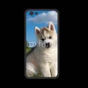 Coque  Iphone 8 PREMIUM Chiot Husky Sibérien 510