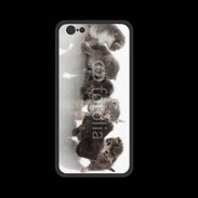 Coque  Iphone 8 PREMIUM Petit chat en folie 500