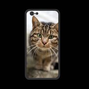 Coque  Iphone 8 PREMIUM Portrait de chat PR