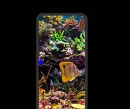 Coque  Iphone 8 PREMIUM Poisson Tropical