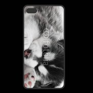 Coque  Iphone 8 Plus PREMIUM Chiot Husky