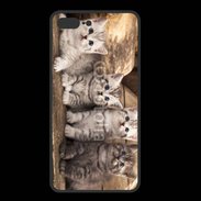 Coque  Iphone 8 Plus PREMIUM Chaton gris 2