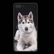 Coque  Iphone 8 Plus PREMIUM Chien Husky de Sibérie