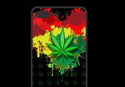 Coque  Iphone 8 Plus PREMIUM Feuille de cannabis et cœur Rasta
