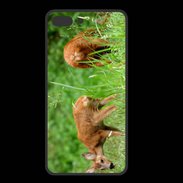 Coque  Iphone 8 Plus PREMIUM Chevreuil PB 1