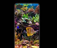 Coque  Iphone 8 Plus PREMIUM Poisson Tropical