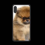 Coque  Iphone XS PREMIUM Chiot Pomeranian 15