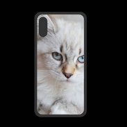 Coque  Iphone X PREMIUM Chaton aux yeux bleus