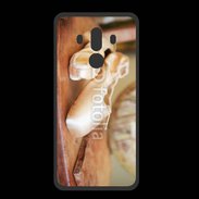 Coque  Huawei MATE 10 PRO PREMIUM Chausson danse classique 6