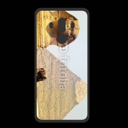 Coque  Huawei MATE 10 PRO PREMIUM Pyramide et Sphinx 2