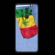 Coque  Huawei MATE 10 PRO PREMIUM Drapeau cannabis 2
