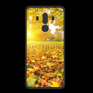 Coque  Huawei MATE 10 PRO PREMIUM Paysage d'automne ensoleillé